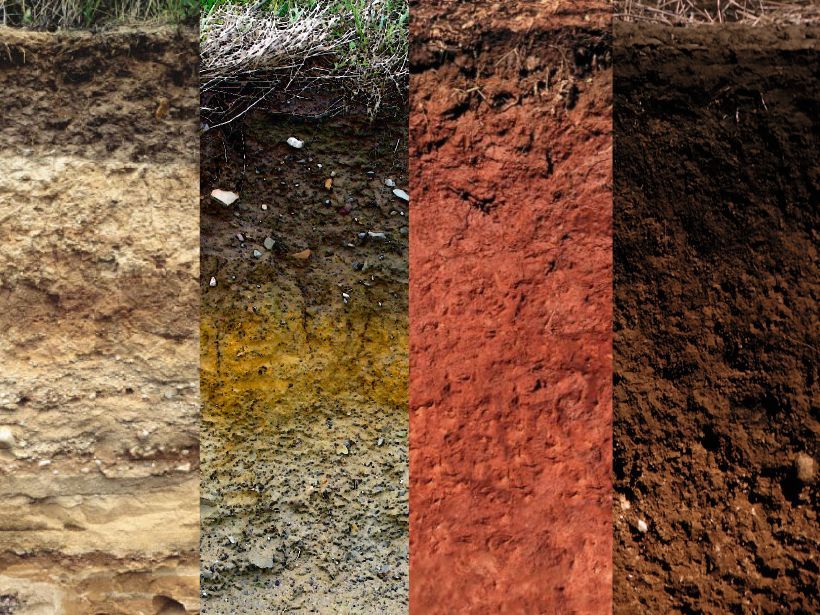 Soil cross-section: Layers of light to dark earth, showcasing different soil types, from light brown to deep red.