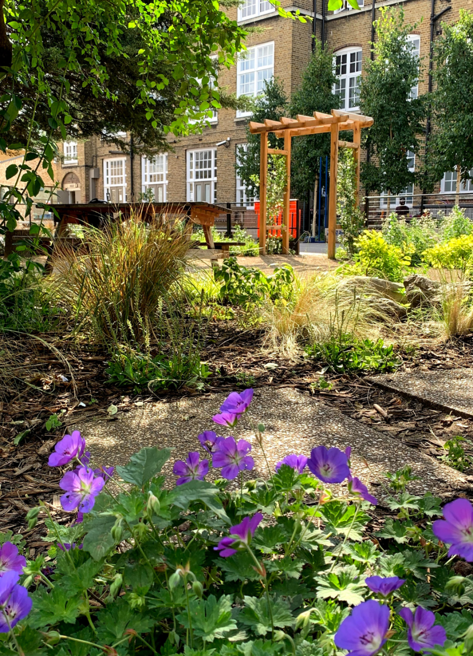 Garden with purple flowers, wooden arch, table, and building in the background.