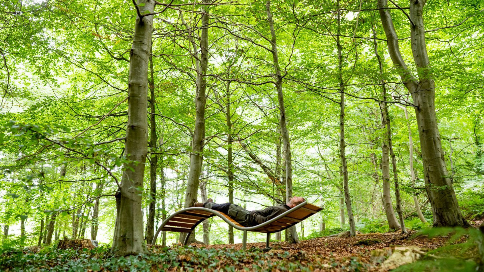 Davies White and children exploring a woodland play garden designed with phytoncide-rich planting.