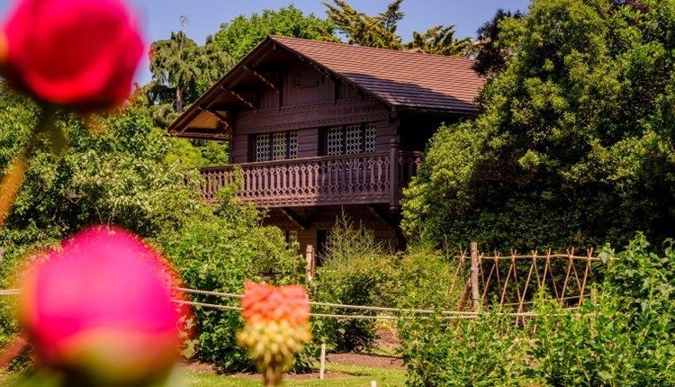 Wooden cabin nestled in lush greenery with a balcony, framed by blurred pink flowers.