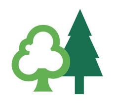Two green trees: a leafy tree and a pine tree.