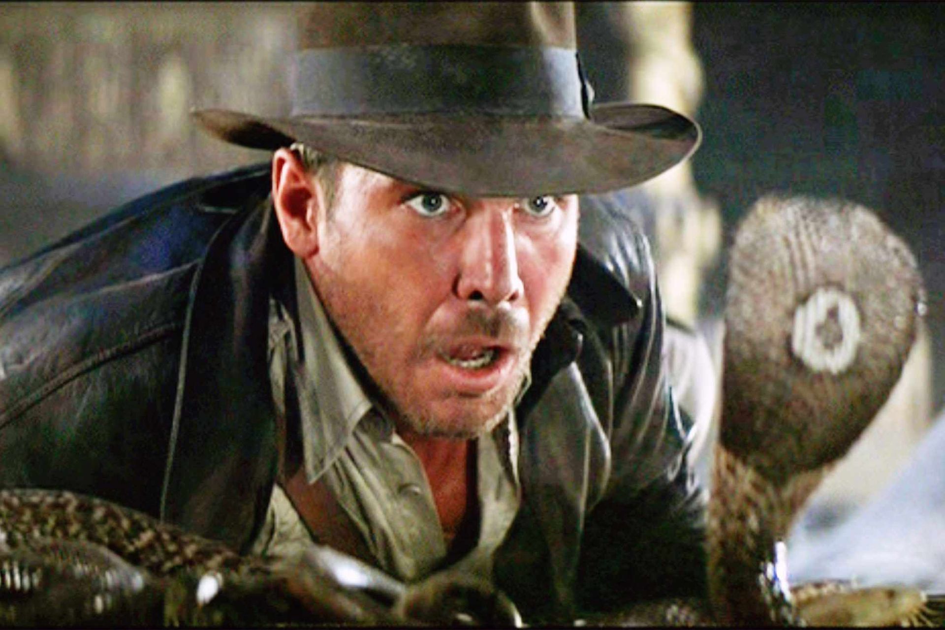 Harrison Ford’s next big role? ‘Saving life on Earth, basically’.