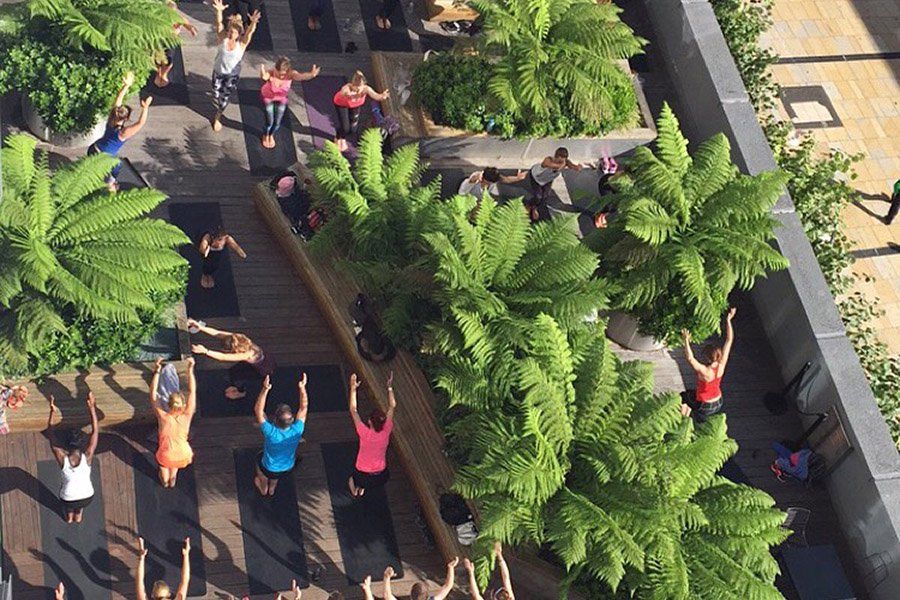 Group yoga class outdoors, raising arms, with lush green plants between mats.