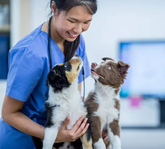 A female veterinarian is holding two puppies in her arms.
