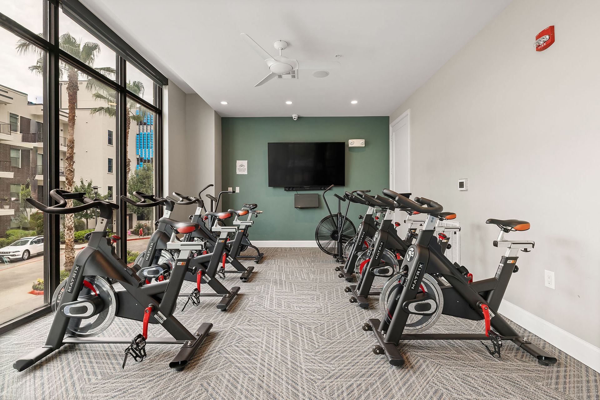 Indoor spin studio with rows of stationary bikes, wall-mounted TV, and large windows.