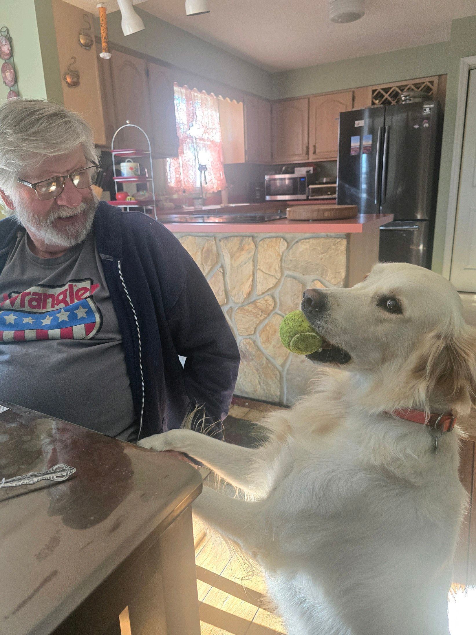 Man in a kitchen reaching toward a white dog standing with front paws on a table.