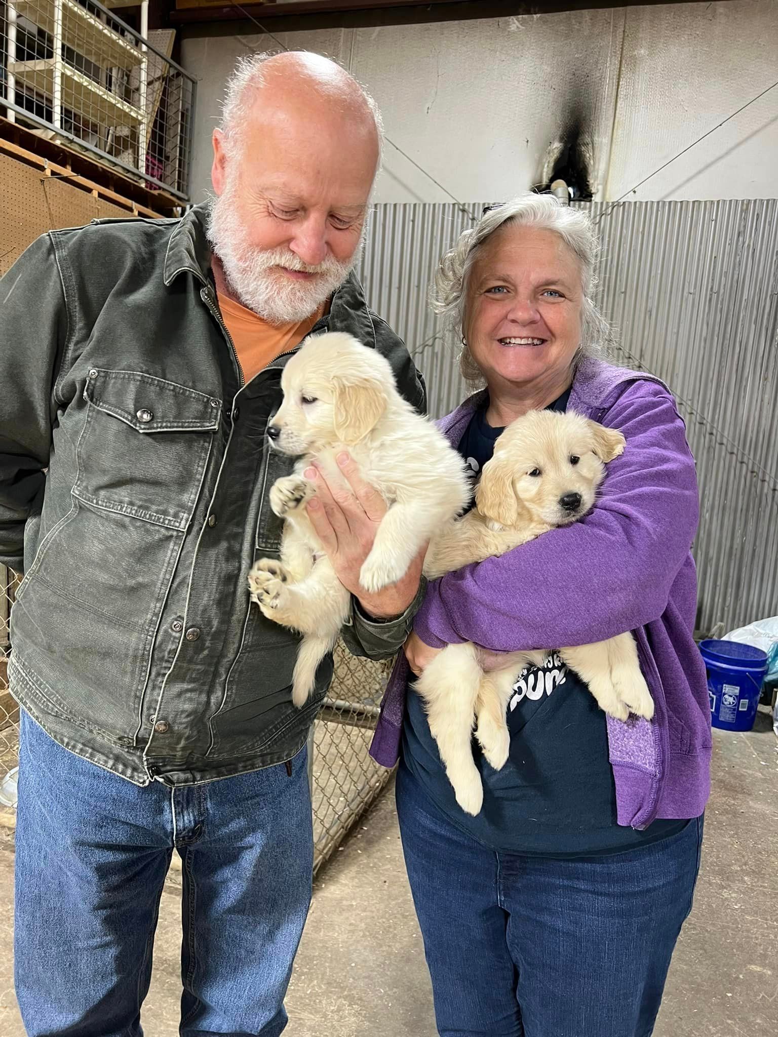 A man and a woman are holding two puppies in their arms.