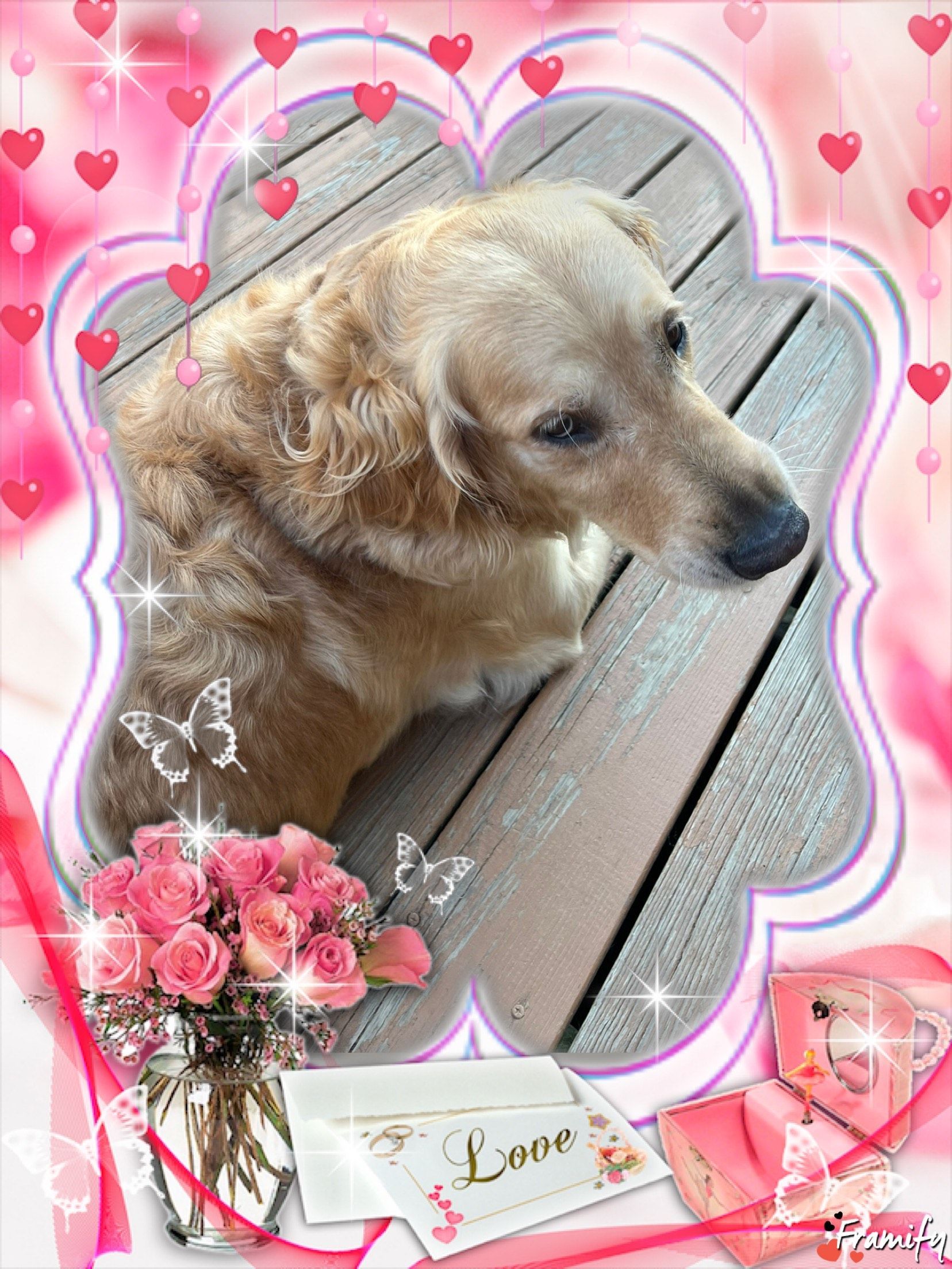 Golden retriever in a heart-framed, pink floral collage with a bouquet and “Love” note