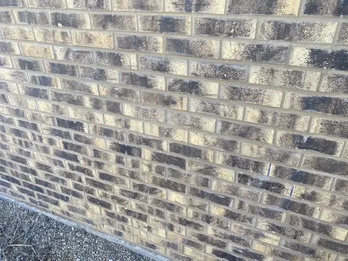 Tuckpointing near Chicago, IL