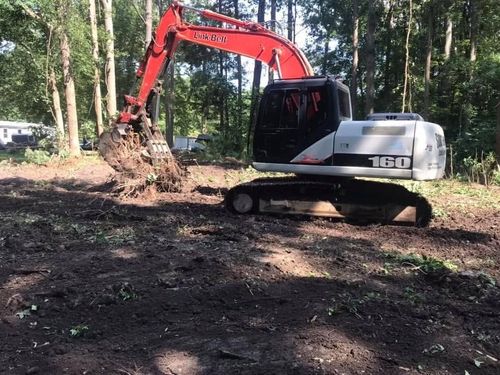 Red excavator digging dirt in a wooded clearing.