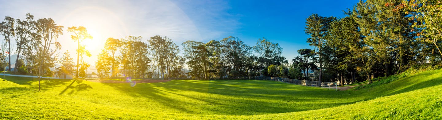 Green lawn maintenance photo for Sparta Lawn Care in Columbia SC
