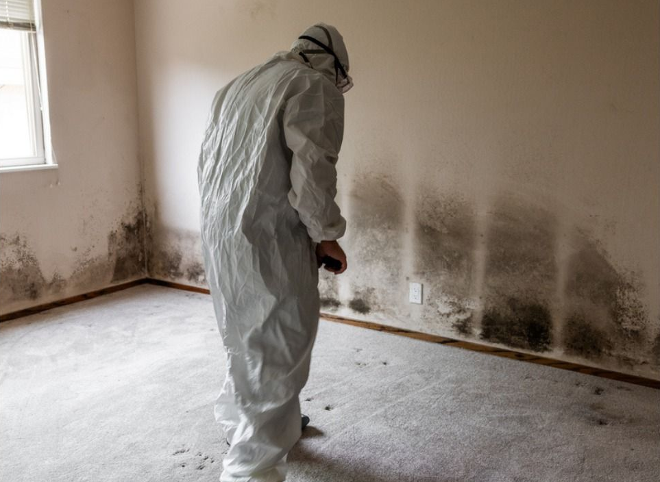 Person in protective suit inspecting mold on a wall in a room.