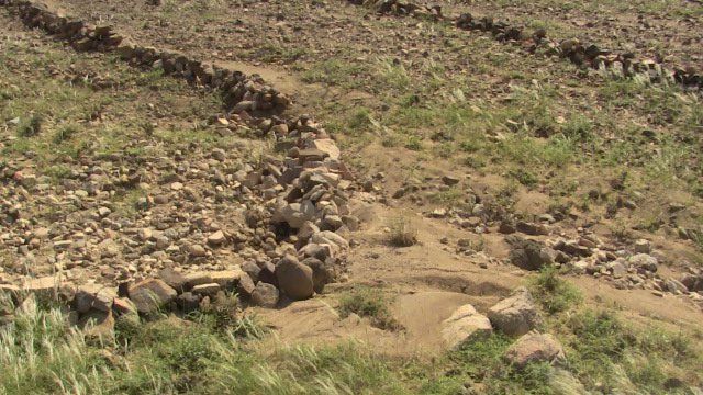 Sustainable permaculture practices explored in Albaydha Demonstration Site