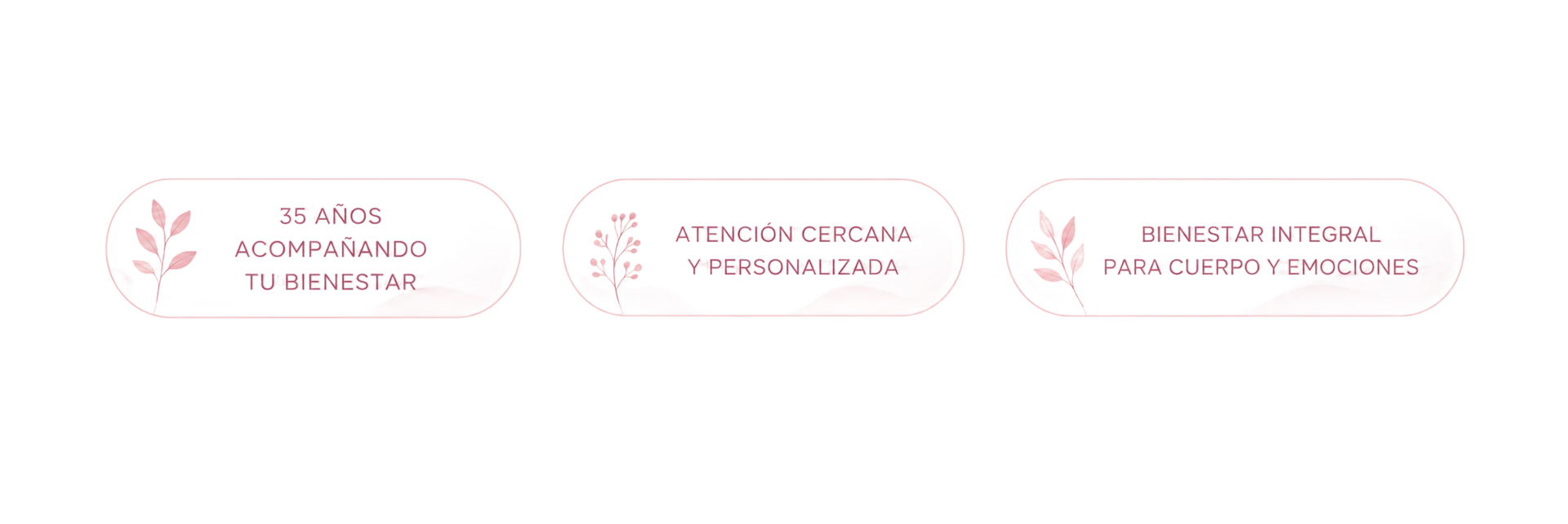 Tres insignias circulares con contorno rosa, iconos de laurel y texto tenue sobre un fondo blanco.