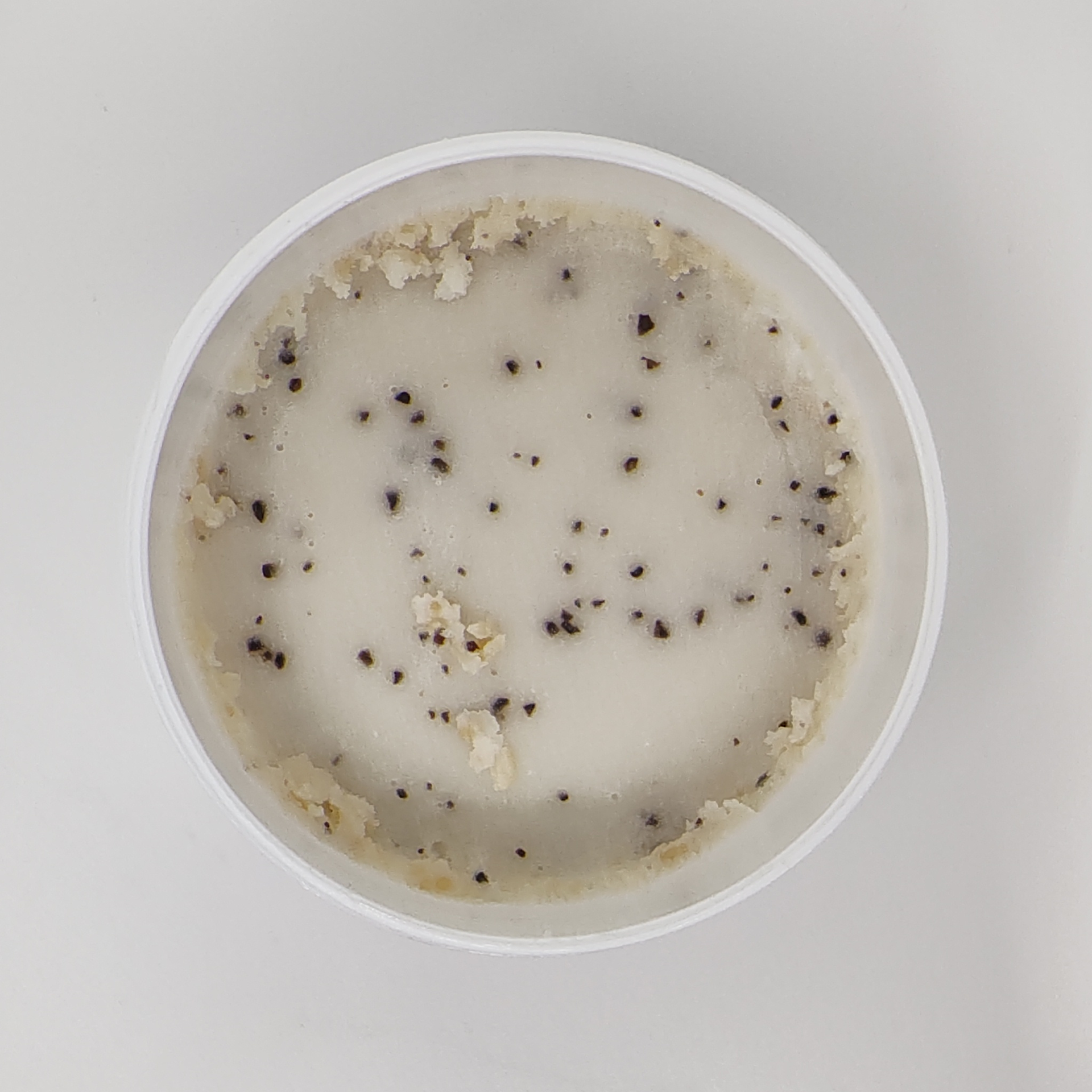 Vanilla Coffee Sugar Polish