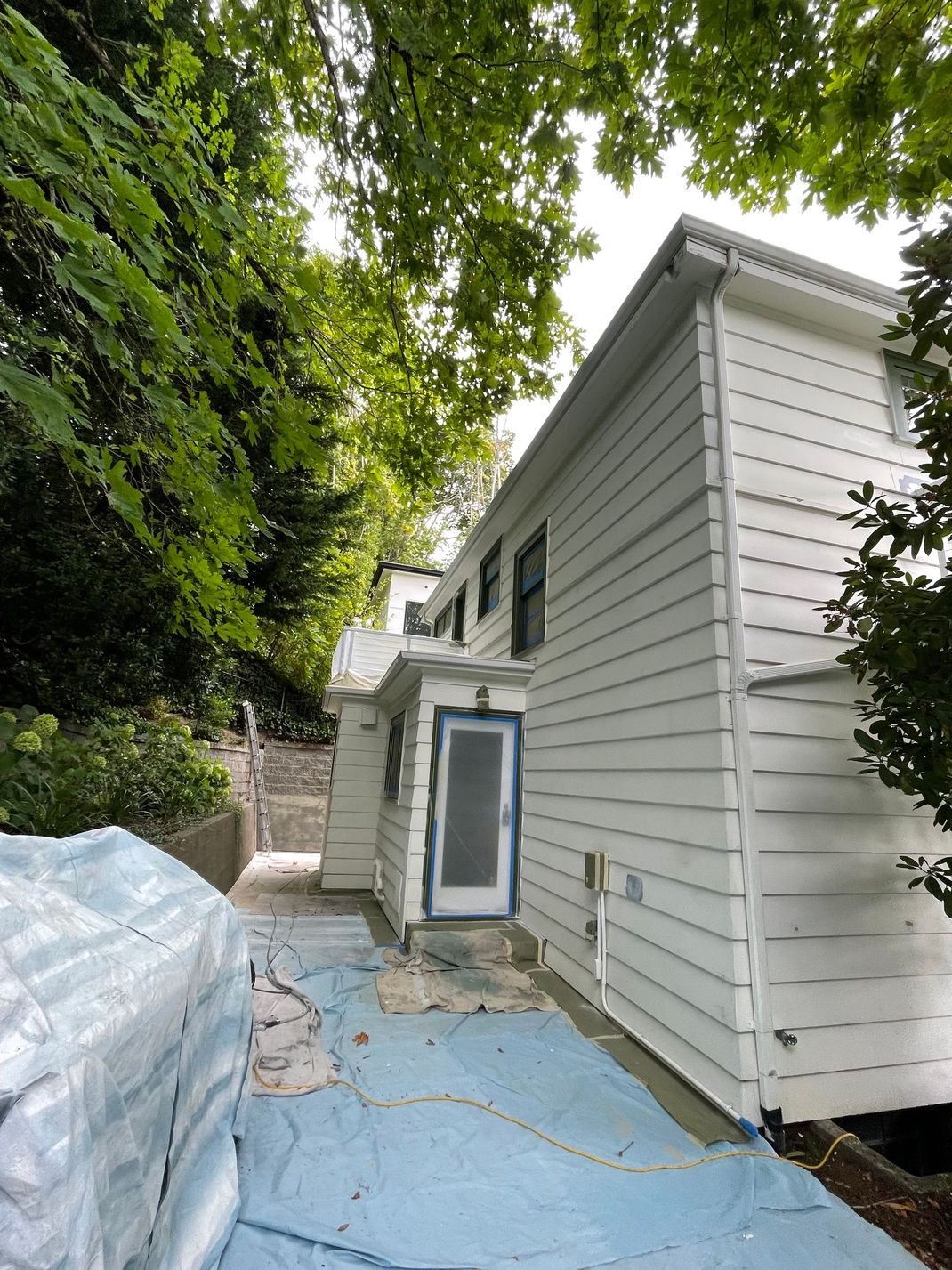 White house exterior with blue tarp-covered walkway and tall trees on the left