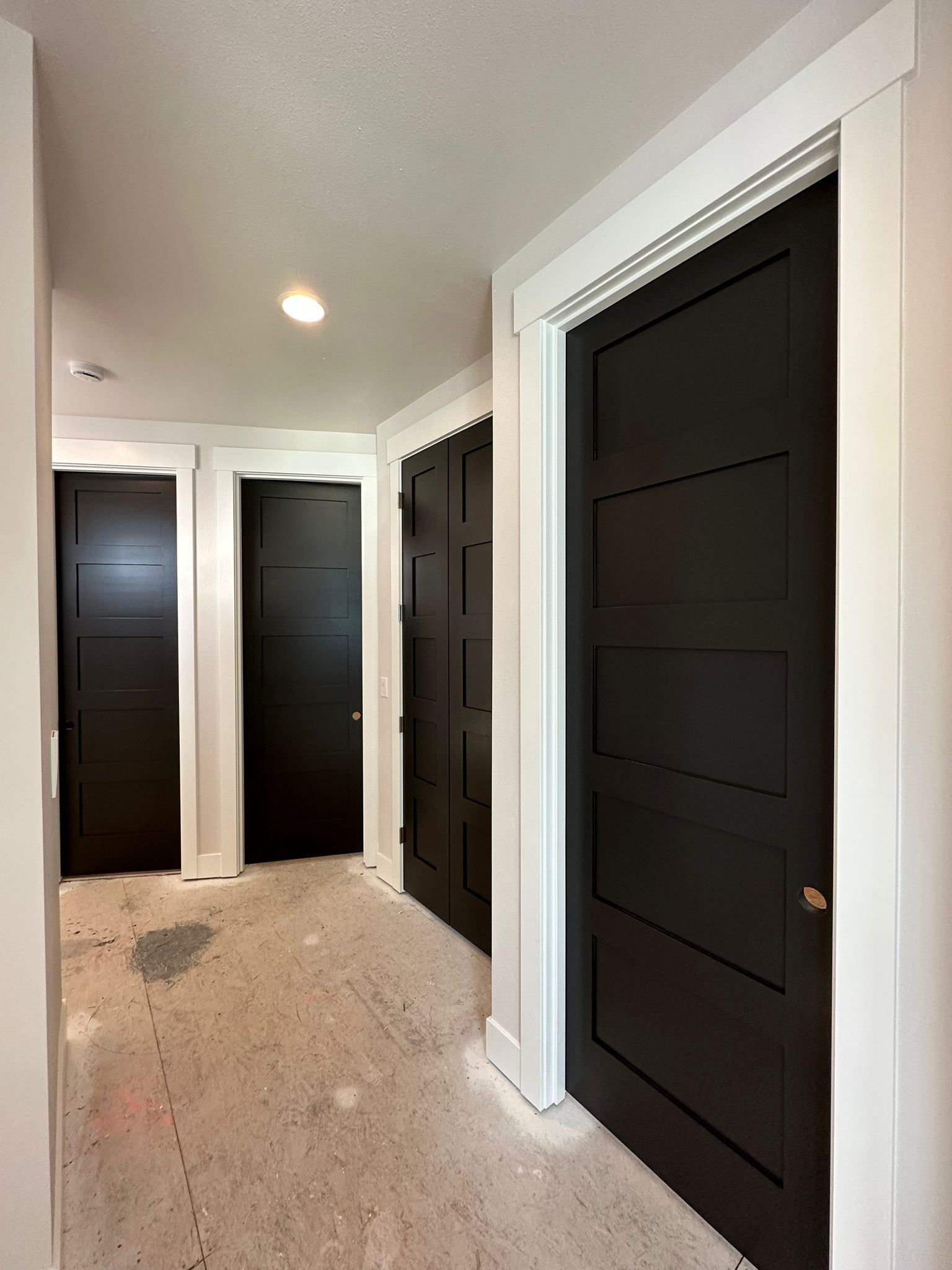 Hallway with beige carpet and several dark-paneled doors, lit by ceiling lights