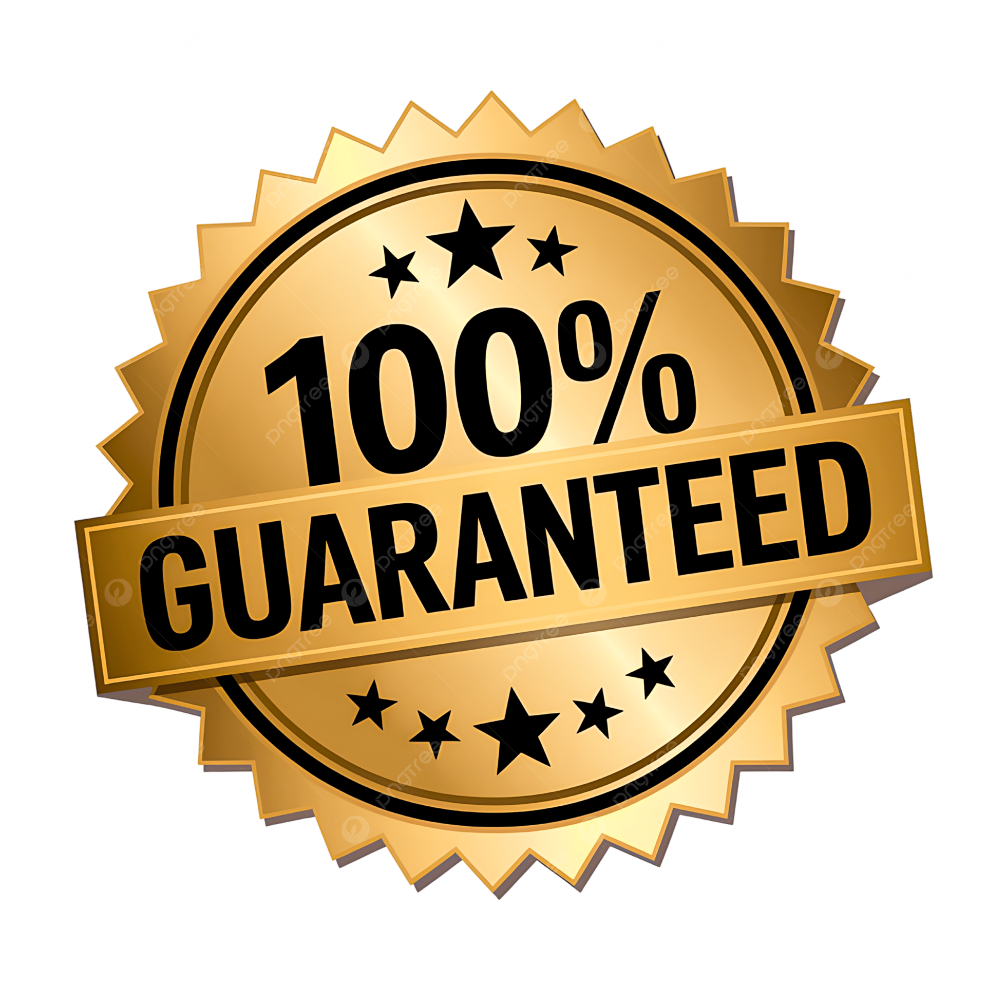 Gold “100% Guaranteed” seal with black text and stars