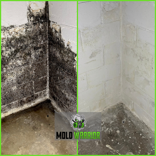 Before and After