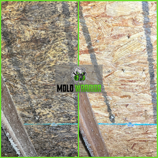 Before and After