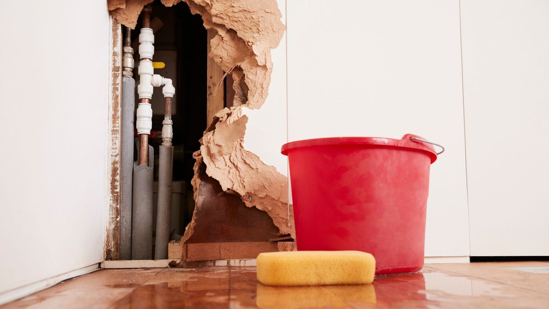 A red bucket and a yellow sponge are on the floor next to a hole in the wall.