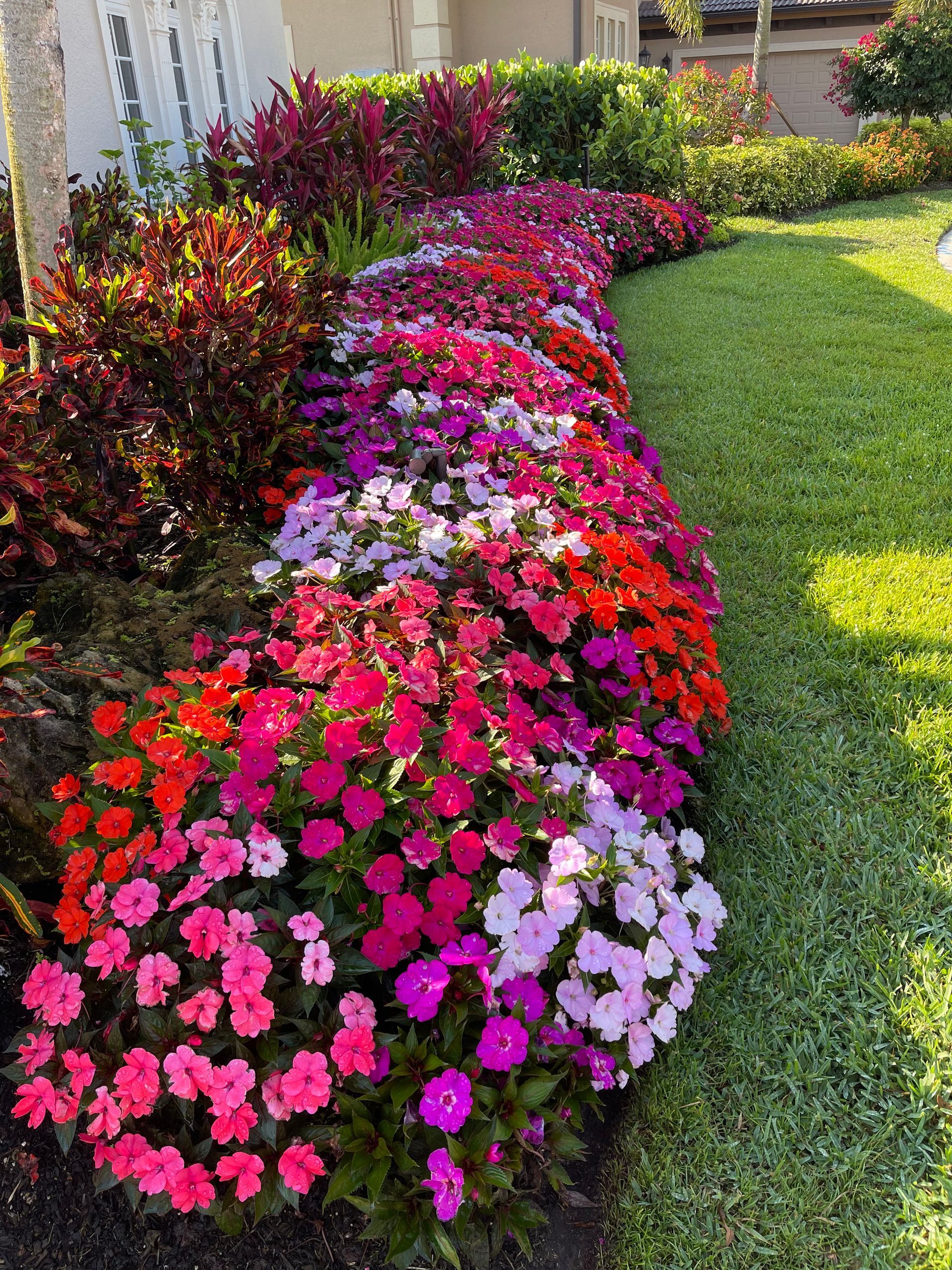 Colorful flowers in a garden bed next to green grass.