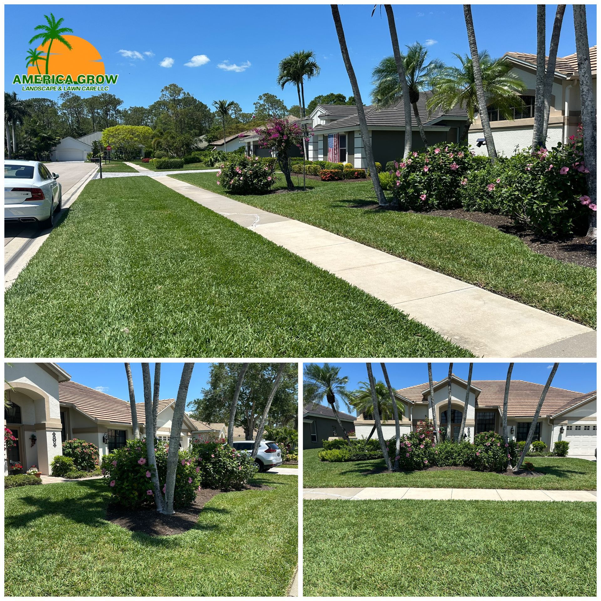 Well-manicured green lawns line a suburban street under a bright, sunny sky.