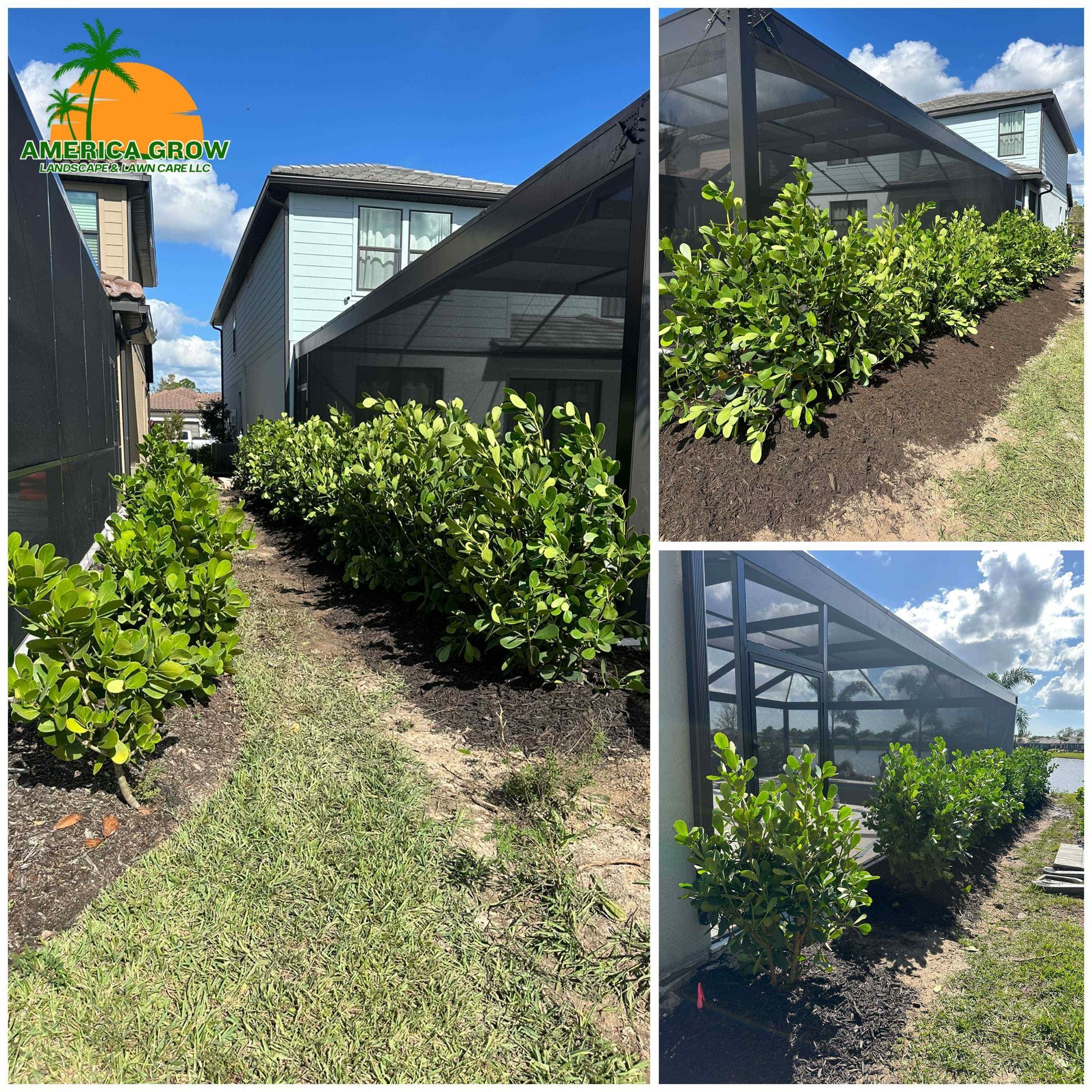 Landscaped backyard with trimmed green bushes and dark mulch. Blue house and screened enclosure in background.