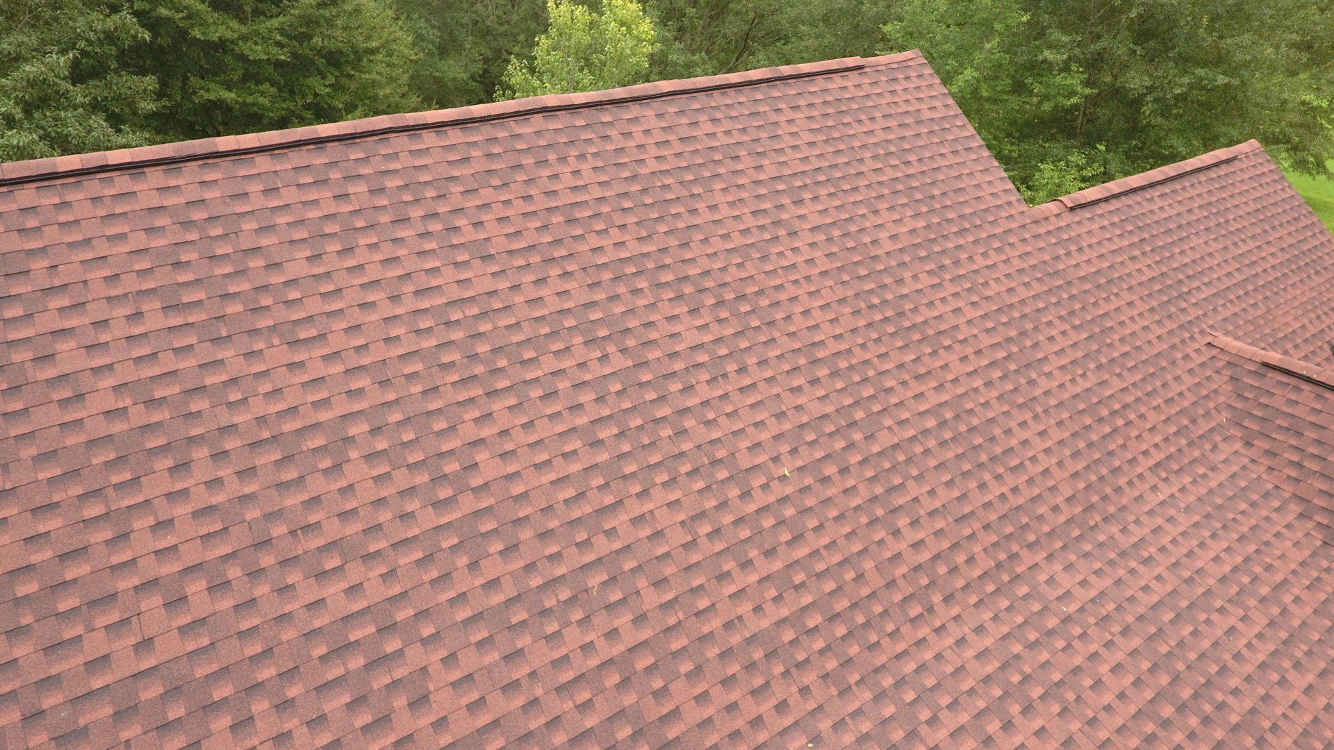 Shingle 