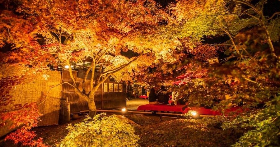 Autumn garden path lit by warm lights, with vibrant orange and red leaves and a red bridge or bench.