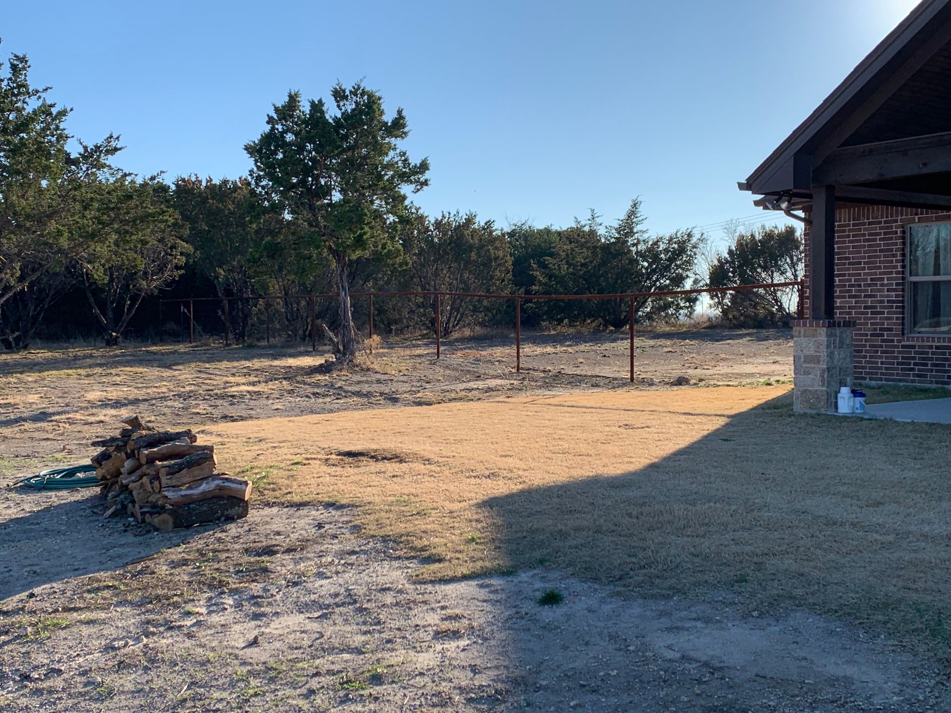 Backyard with dry grass, a stone fire pit, trees, and part of a brick house in sunlight