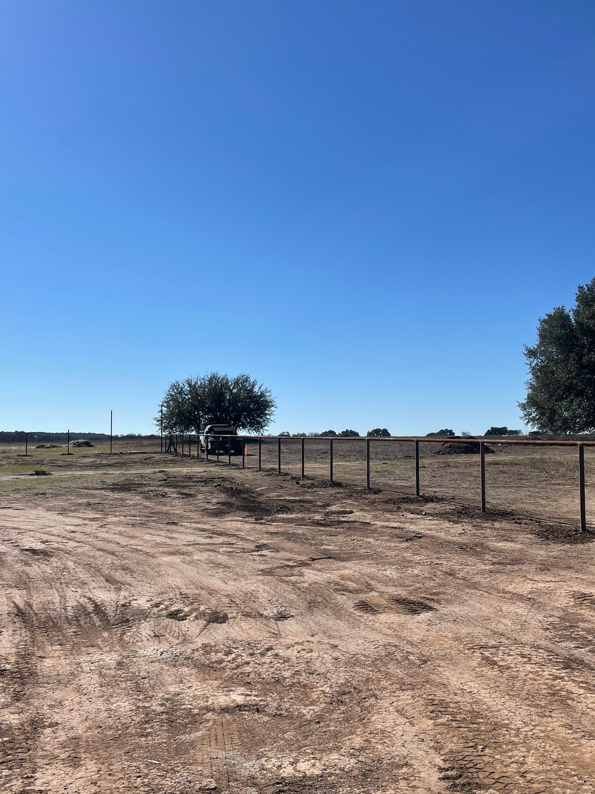 Dry grassy field with a fence line, a lone tree, and a clear blue sky