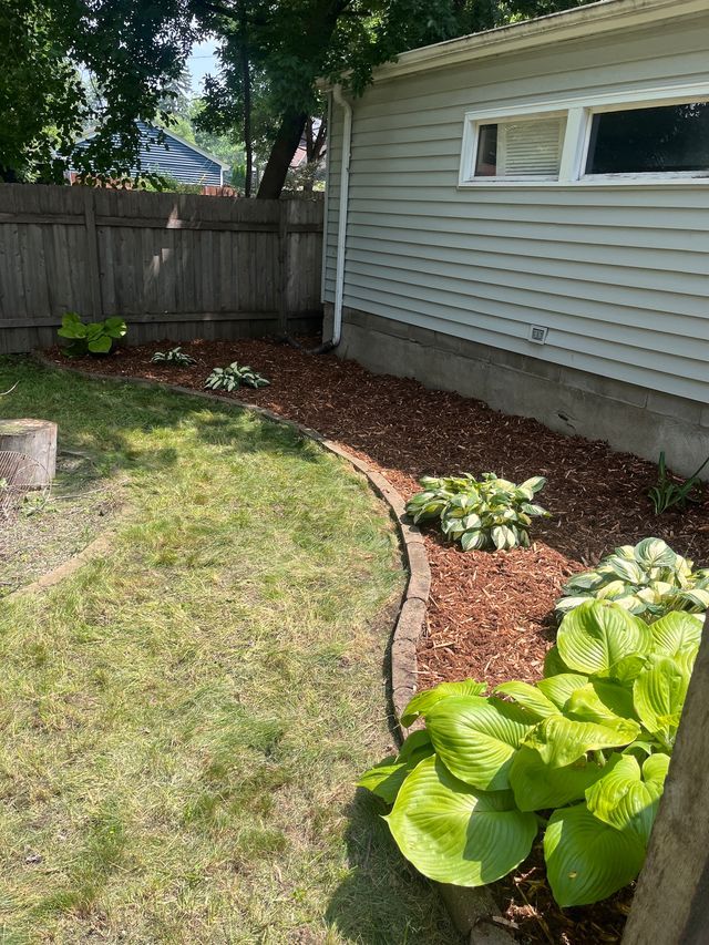 Mulched garden bed with hostas along a house wall and fence, beside a grassy yard