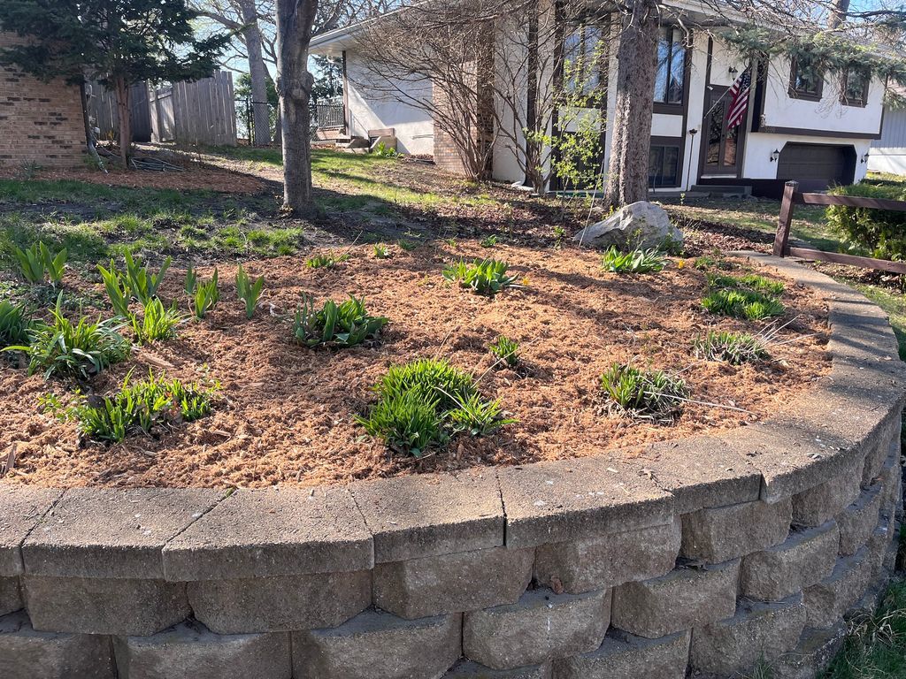 Mulched landscape bed with small plants and trees beside a house, bordered by a stacked stone retaining wall