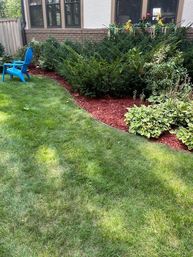 A green lawn beside a house with shrubs and red mulch, plus a blue chair near the window.