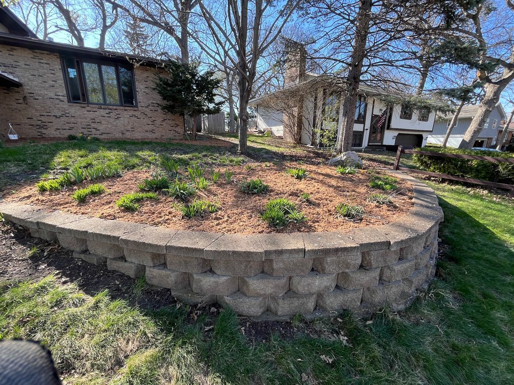 Raised garden bed with small plants in a brick-lined yard beside houses and leafless trees