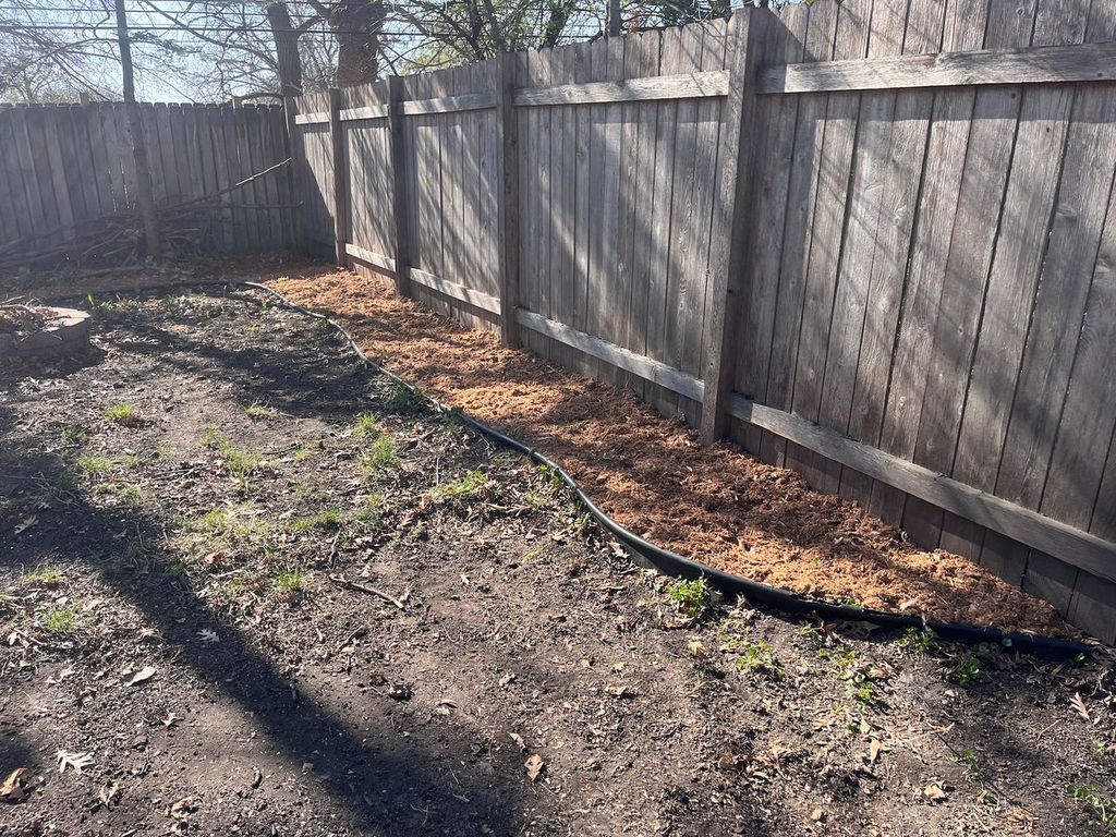 Backyard dirt and patchy grass beside a weathered wooden fence in bright sunlight