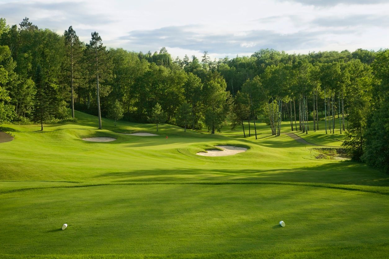 Grøn golfbane med to golfbolde på tee, sandfælder og træer i baggrunden.