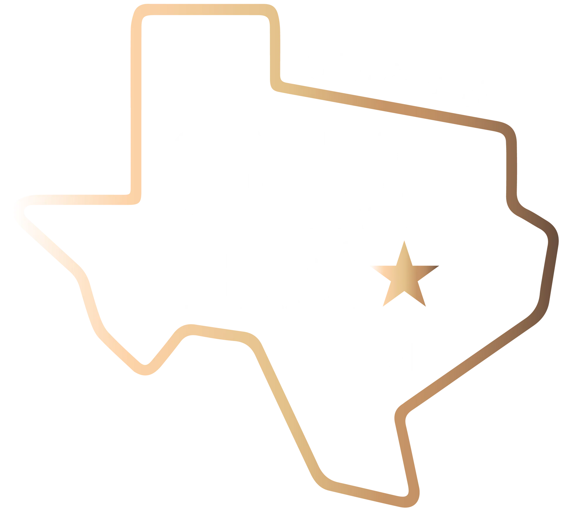 Outline of Texas in gold gradient with a gold star marking the state’s center.