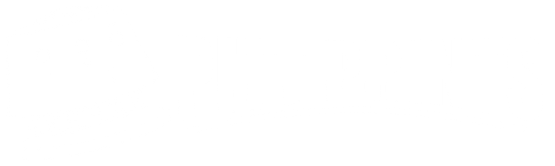 Pitt Prints logo in White
