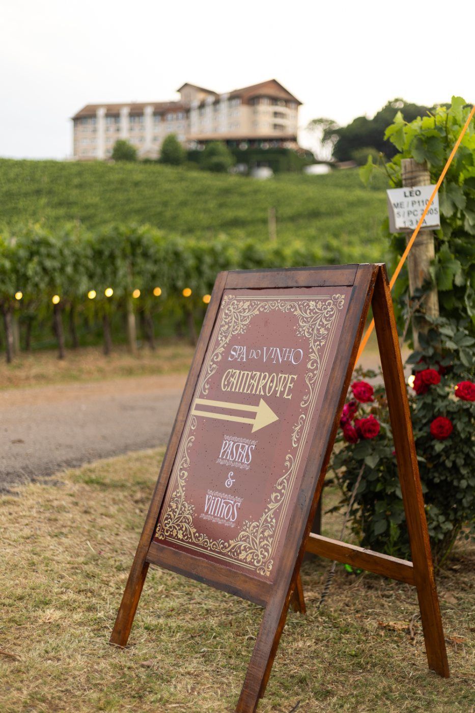Placa de madeira indicando o Camarote Spa do Vinho, Pastas e Vinhos, com o hotel ao fundo sobre os vinhedos