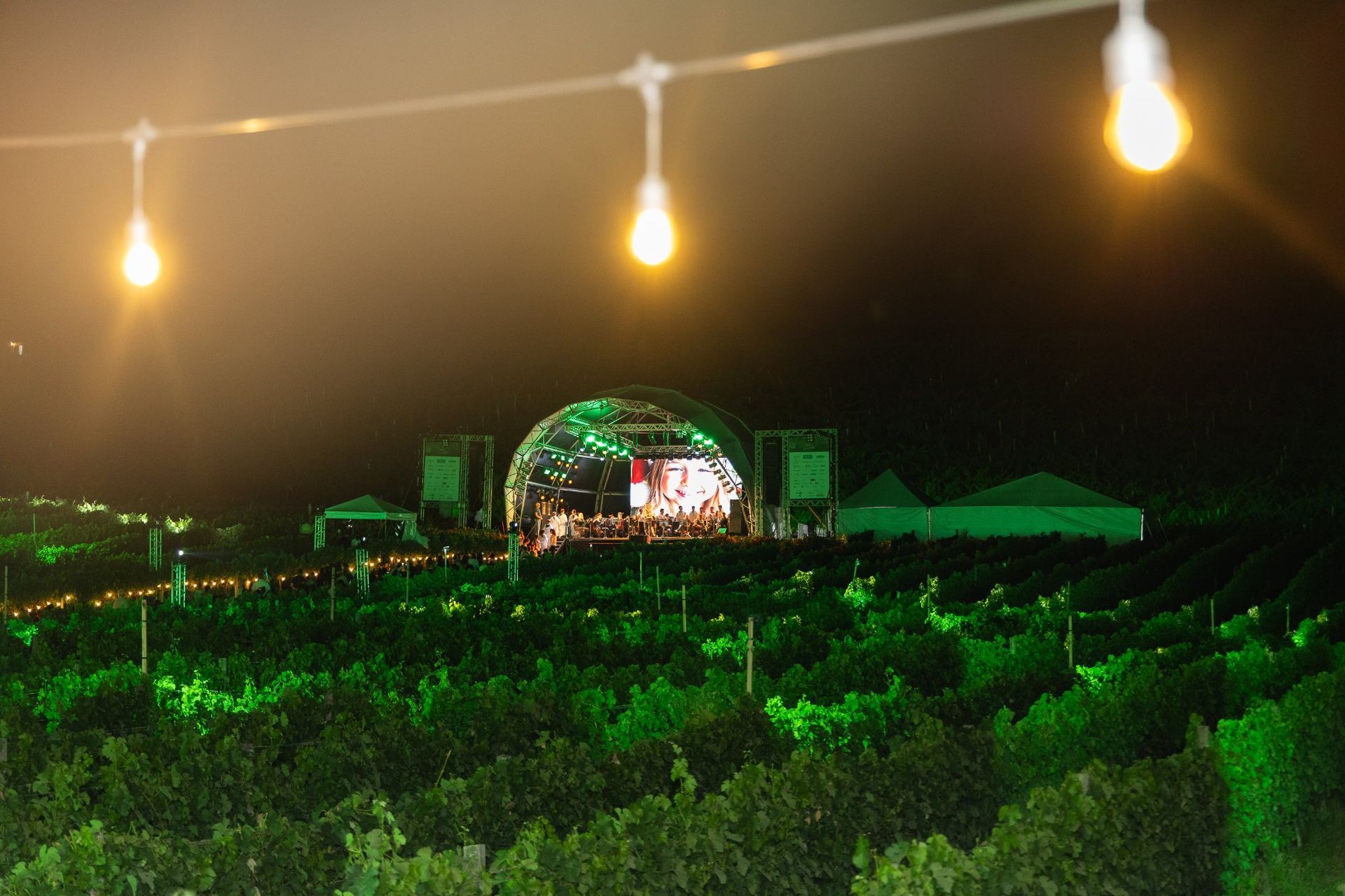 Luzes penduradas sobre os vinhedos com o palco do concerto de Natal ao fundo