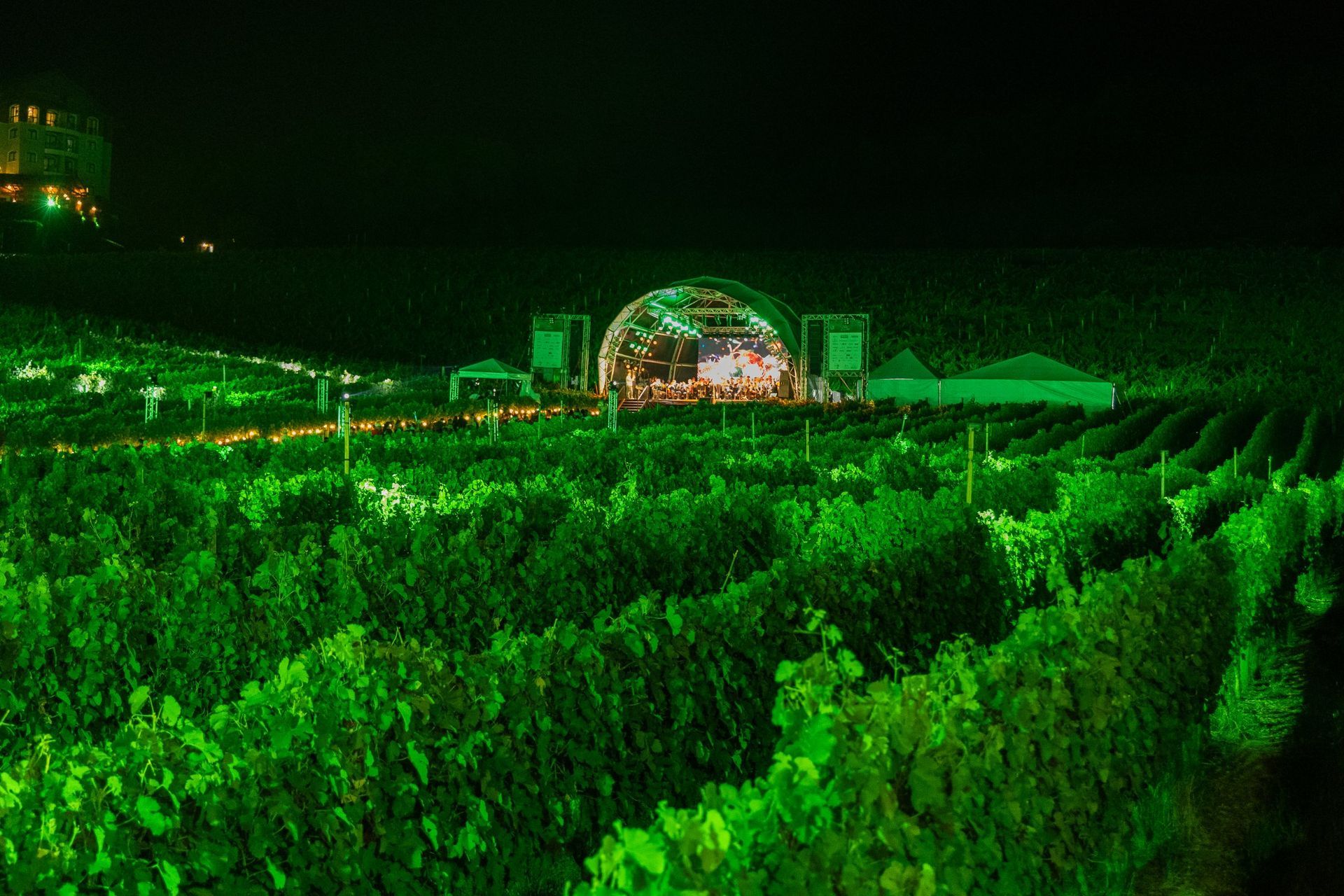 Palco iluminado do festival Natal nos Vinhedos em meio às videiras, à noite, com o Spa do Vinho ao fundo