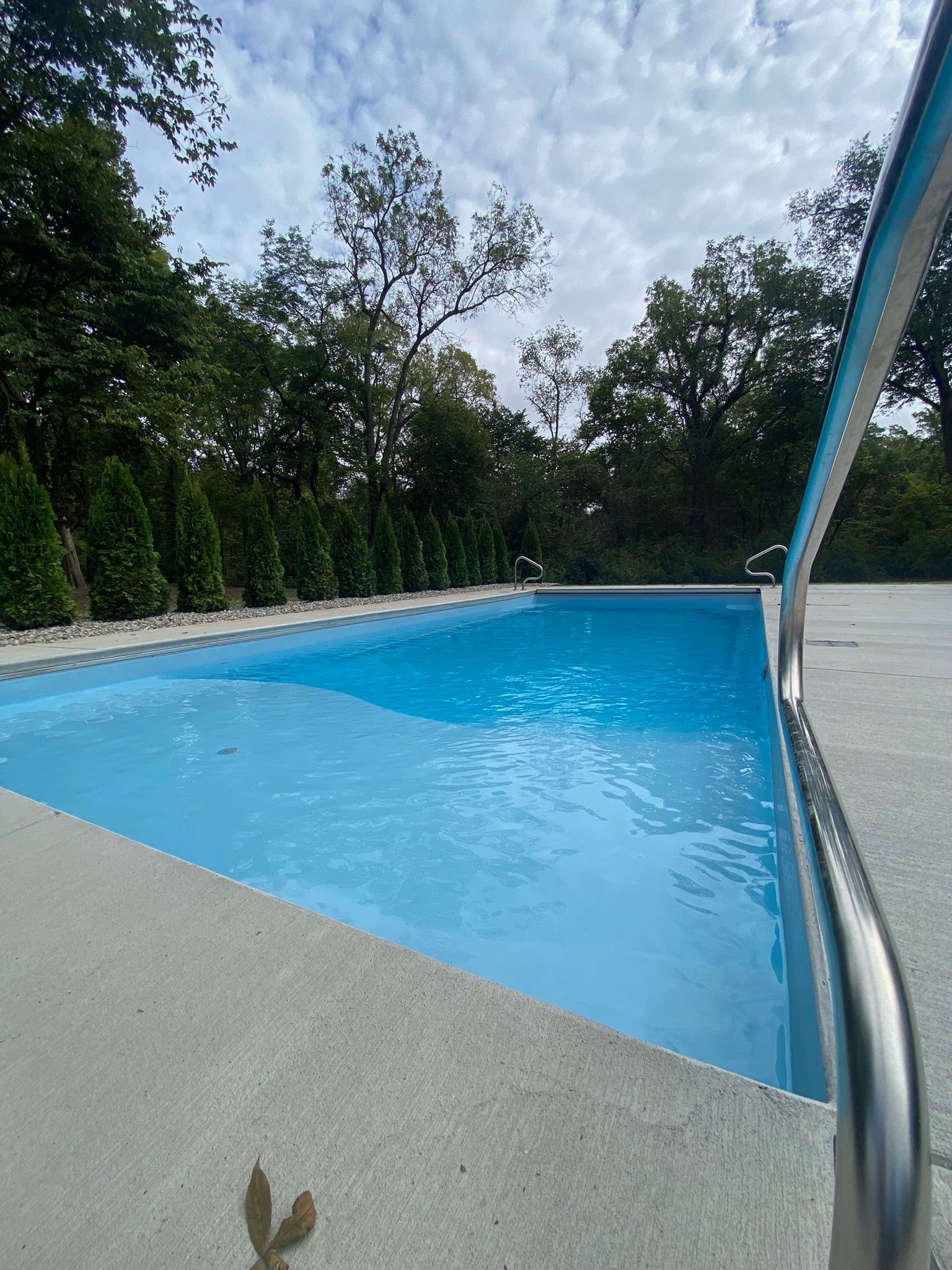 A large swimming pool surrounded by trees on a sunny day.