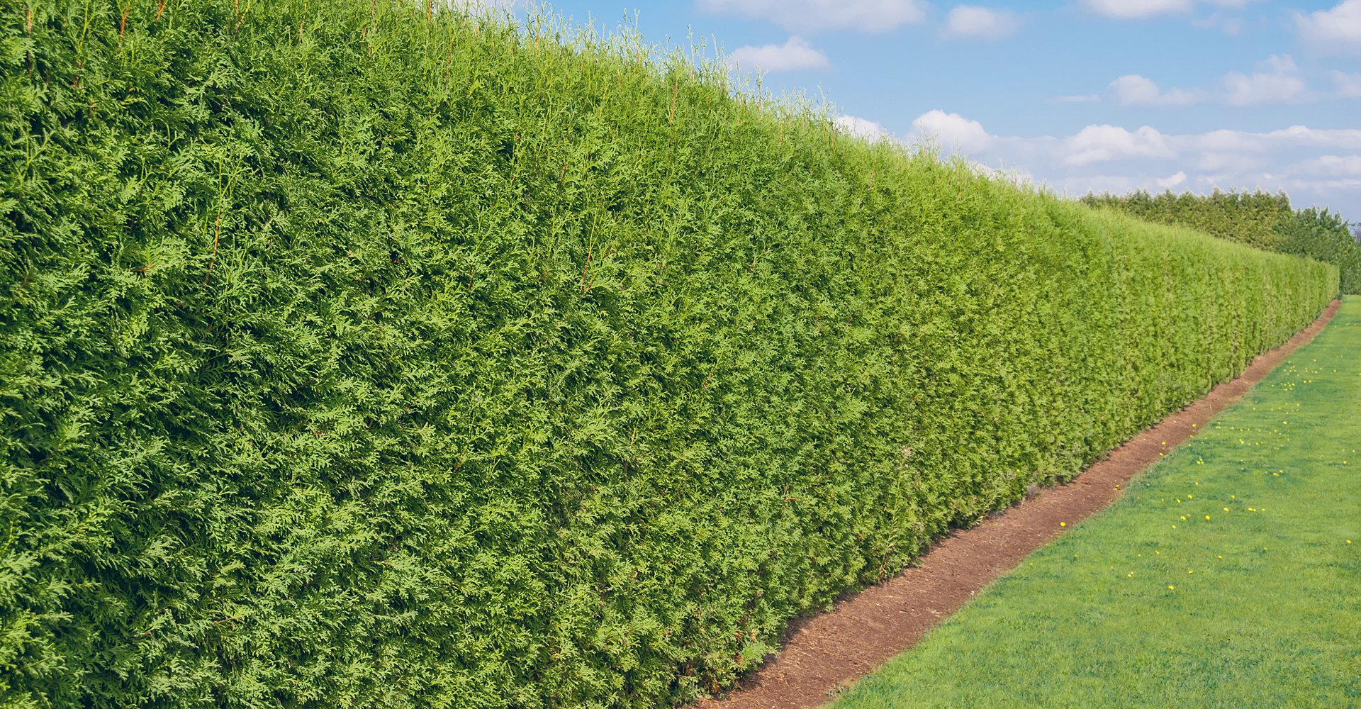 Firewood and mulch suppliers Berkshire Hedges