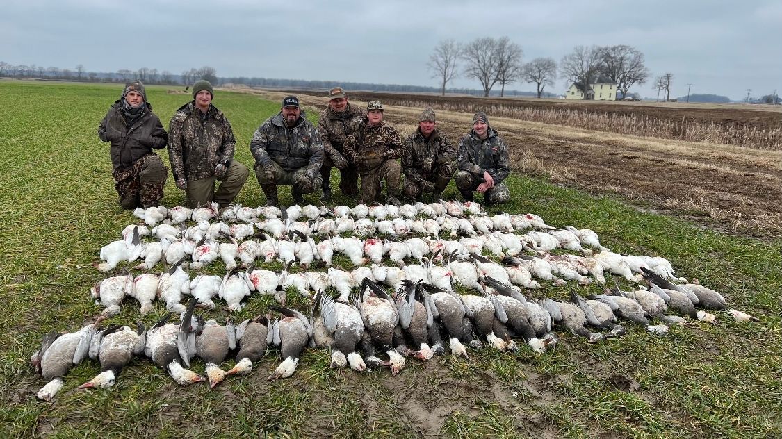 Arkansas Snow Goose Hunting