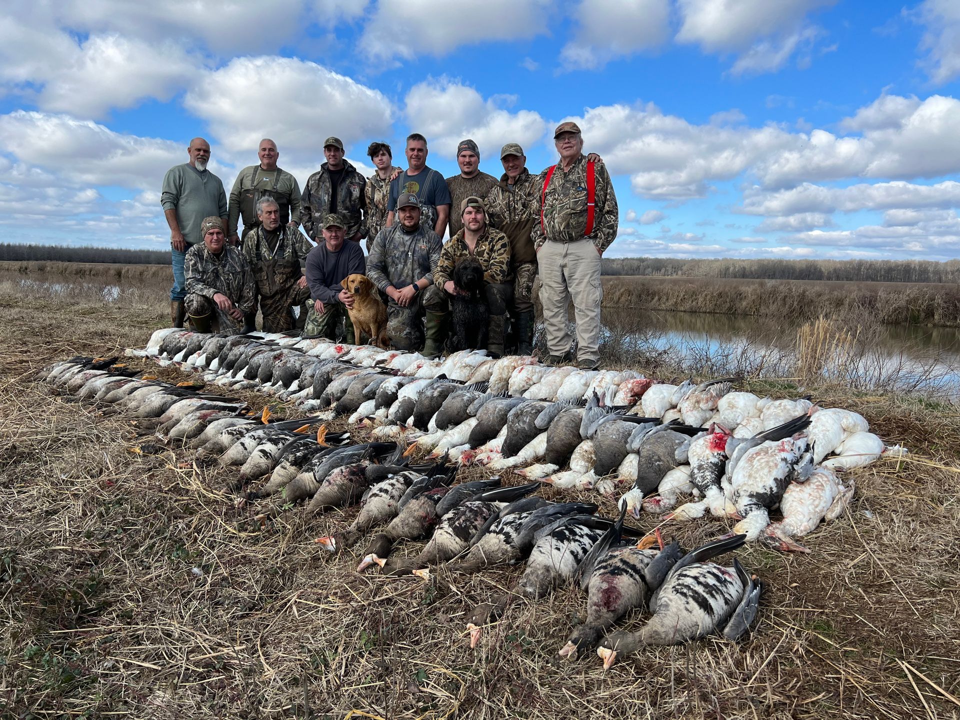 shoot geese Arkansas