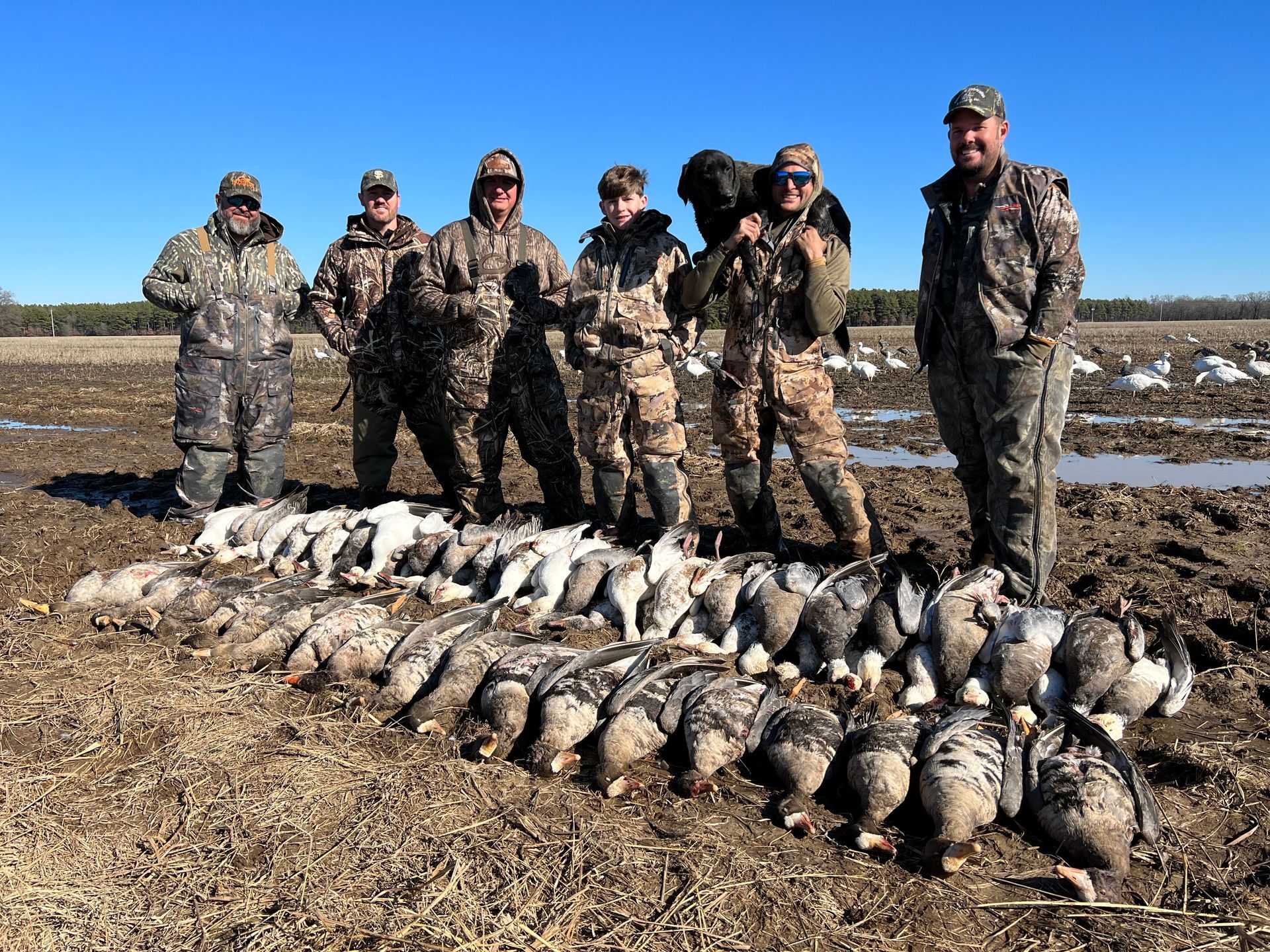 goose guide