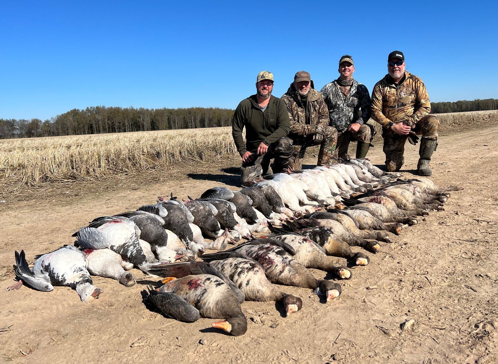 goose hunting outfitter Arkansas
