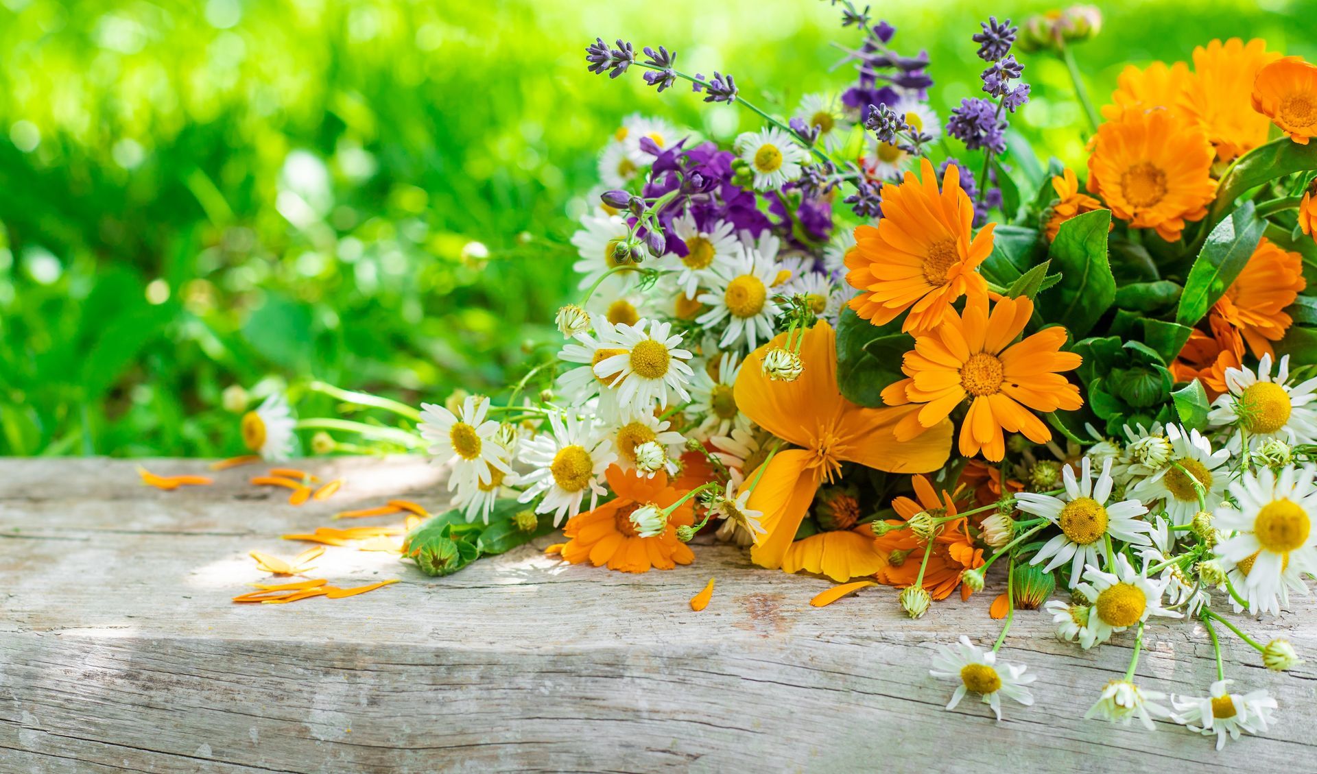 Wildflowers in orange, white, and purple arranged on a rustic wooden surface outdoors